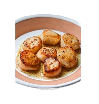 Scallop 